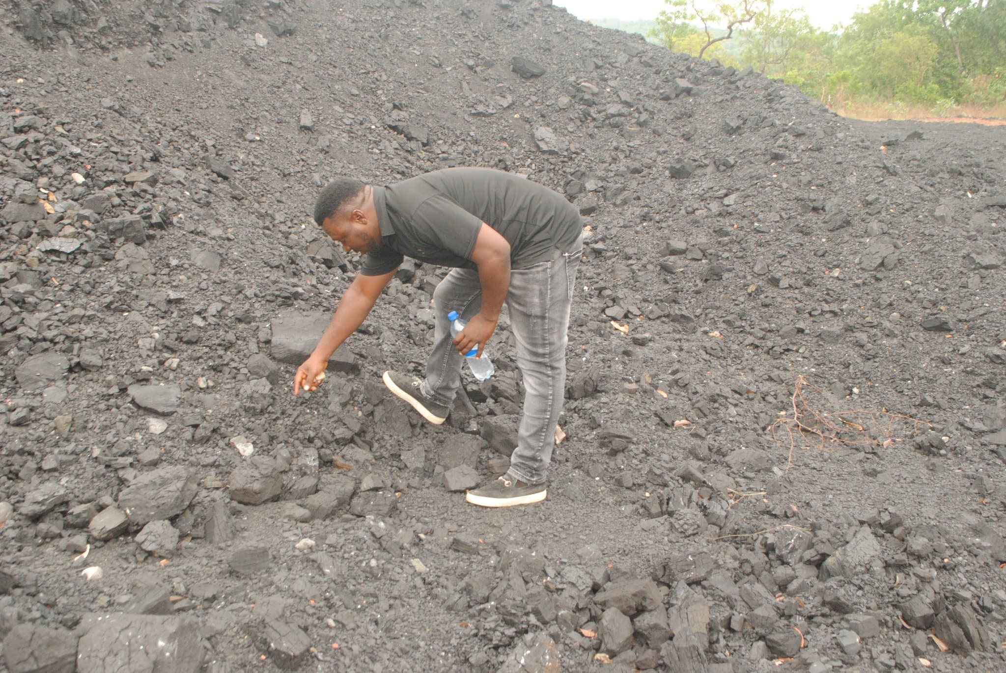 NAWIA members working together to plant trees for sustainability